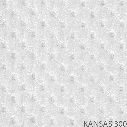 kansas 300_popis